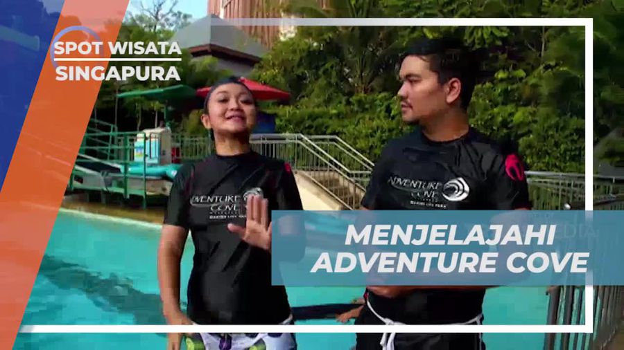 Menjelajahi Wahana Seru dan Wahana Air di Adventure Cove Water Park, Singapura  