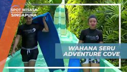 Menikmati Wahana Seru seperti Spiral Washout dan Rainbow Reef di Adventure Cove, Singapura  