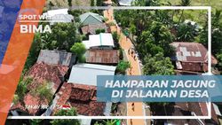 Menikmati Hamparan Jagung di Jalanan Desa Monggo, Bima  