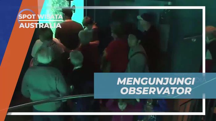 Mengunjungi Observator Bawah Laut dan Melihat Kehidupan Laut di Australia