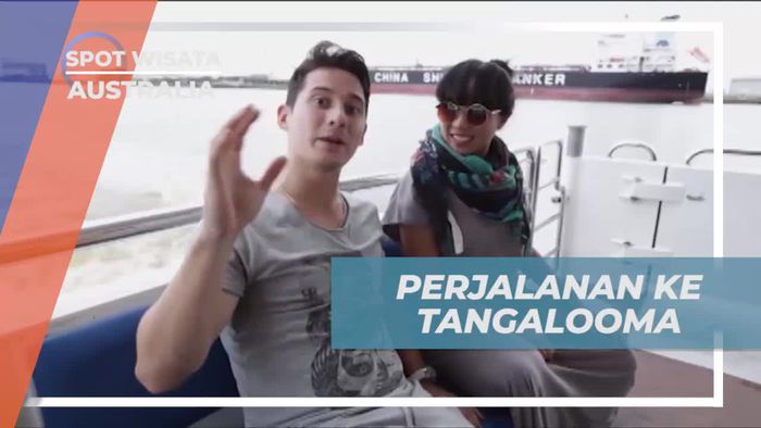 Perjalanan Seru ke Tangalooma Island dengan Kapal di Australia  