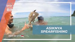 Nikmati Momen Menangkap Ikan dengan Spearfishing di Pantai Rontu Tangga Baru, Bima  
