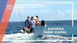 Menyusuri Laut Lepas Pulau Weh dan Menemukan Kawanan Lumba-Lumba