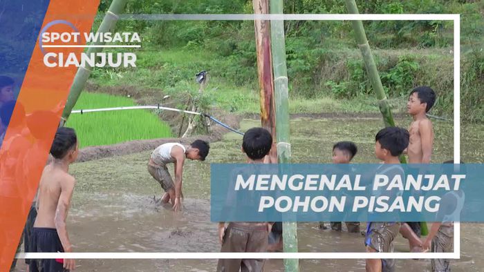 Mencoba Permainan Tradisional Panjat Pohon Pisang di Kampung Rawa Dewa, Cianjur  