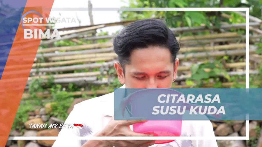 Menikmati Rasa Manis dan Asam Susu Kuda Segar di Desa Monggo, Bima  