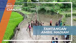 Menantang Selebriti Mengambil Hadiah di Pohon Pisang yang Menarik di Cianjur  