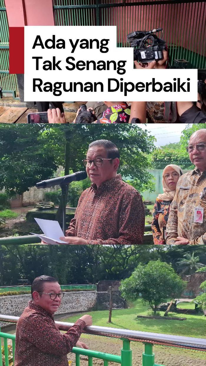 Video Viral Narasi Satwa Kurus, Pramono Duga Ada yang Tak Senang Ragunan Diperbaiki