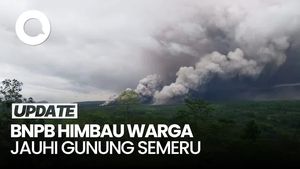 Video: Gunung Semeru Erupsi, Ini Himbauan dari BNPB