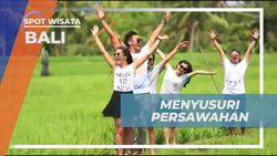 Menikmati Keindahan Persawahan di Ubud, Bali, Tempat Shooting Film Eat Pray Love  