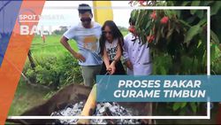 Bakar Gurame Timbun dan Nikmati Menu Lezat di Bali