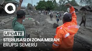 Video: Banjir Lahar Semeru, Warga Diminta Jauhi Zona Merah