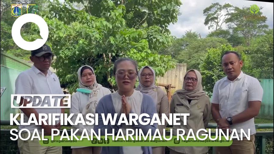 Video: Klarifikasi Penyebar Isu Pakan Harimau Ragunan Dibawa Pulang