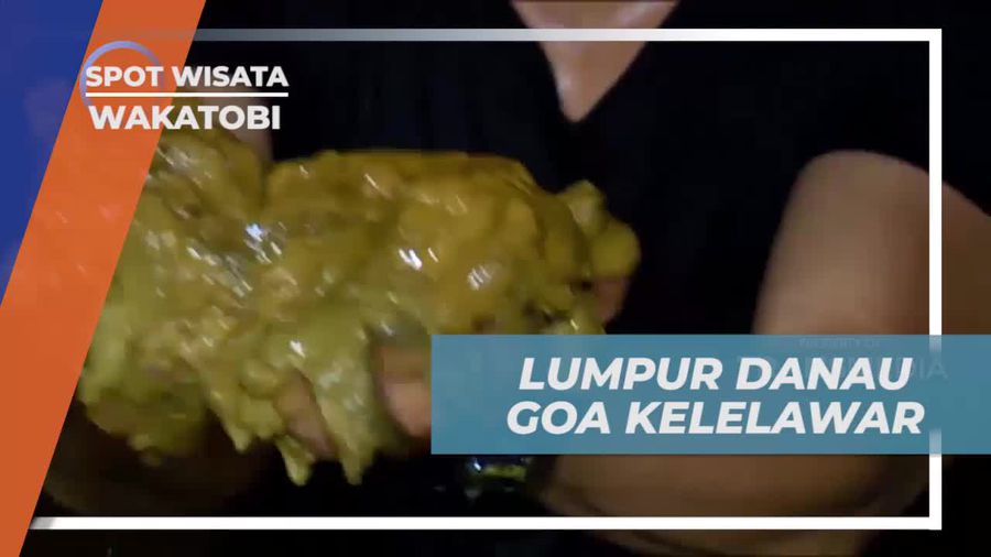 Bermain di Lumpur Danau Goa Kelelawar Wakatobi yang Menyenangkan  