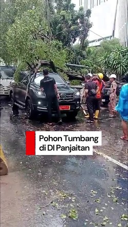 Video: Pohon Besar Tumbang di DI Panjaitan Jaktim, Lalin Macet