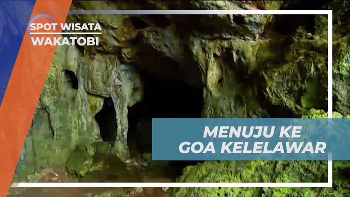 Menjelajahi Goa Kelelawar Wakatobi yang Menegangkan  