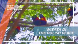 Nikmati Suasana Restoran Polandia The Polish Place di Australia  