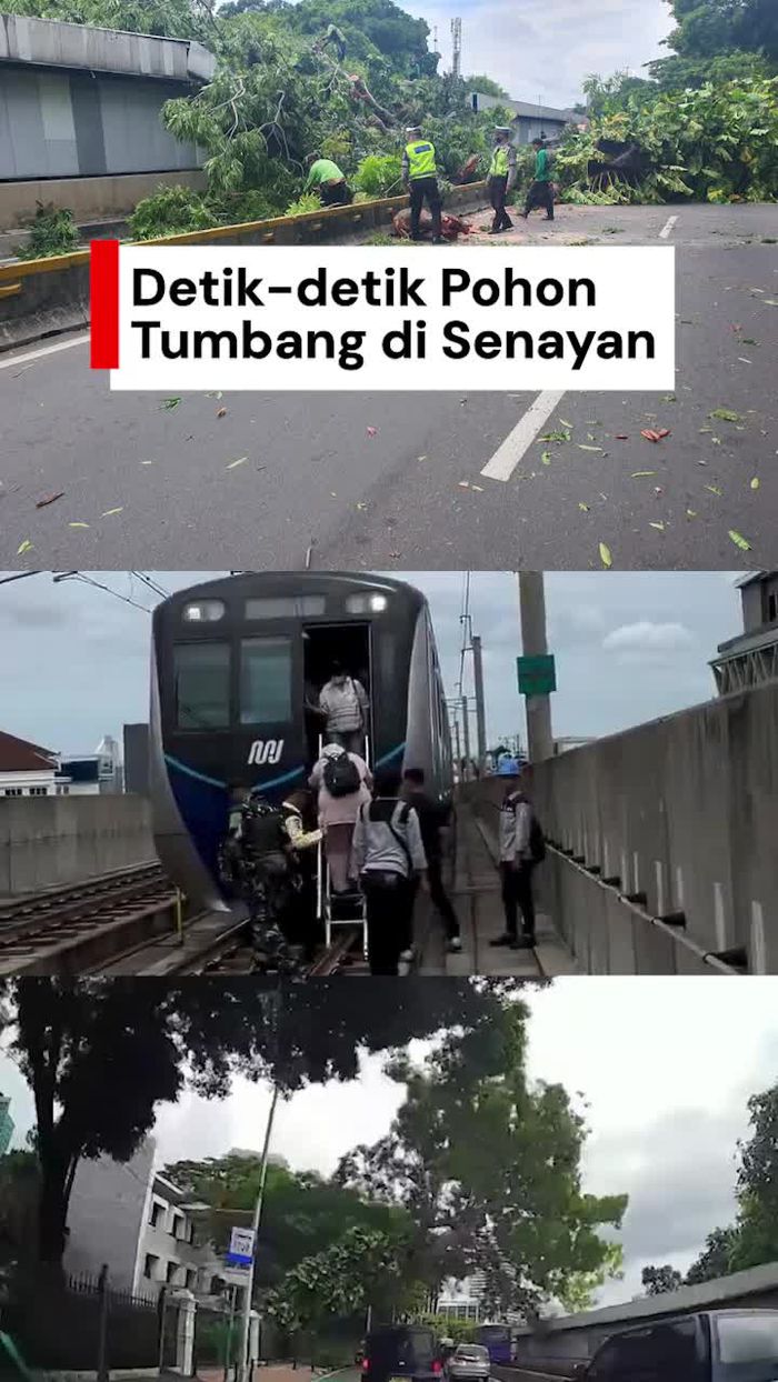 Video Detik-detik Pohon Tumbang di Senayan, 524 Penumpang MRT Dievakuasi