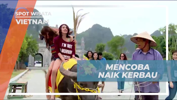 Mencoba Menunggangi Kerbau di Hoa Lu dan Menikmati Alam Vietnam 