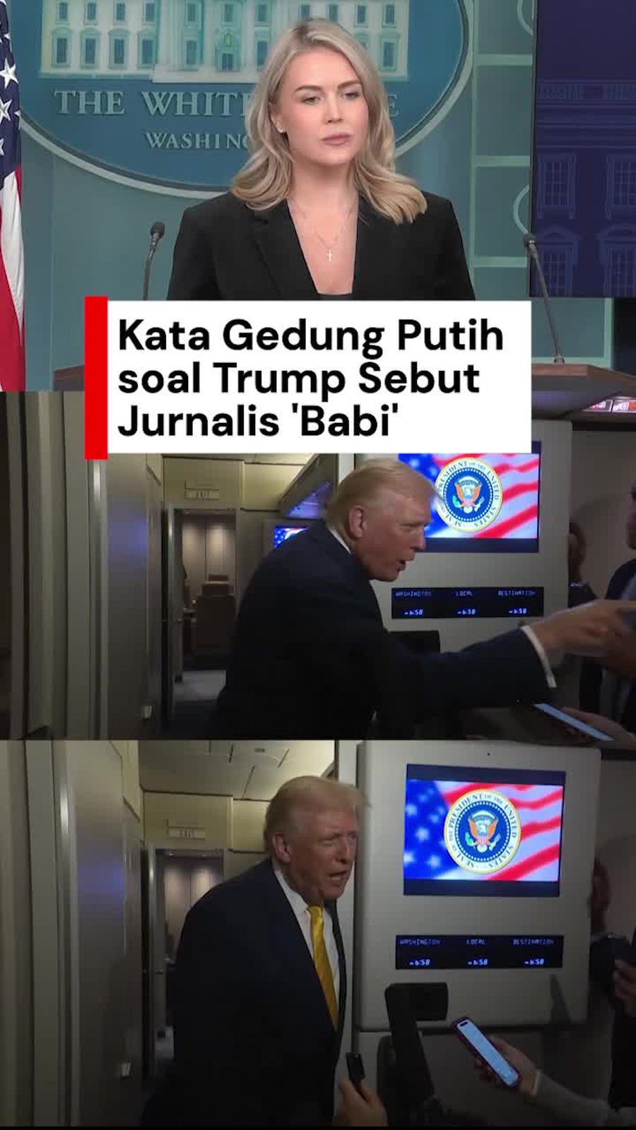 Video: Klarifikasi Gedung Putih soal Trump Sebut Jurnalis Babi