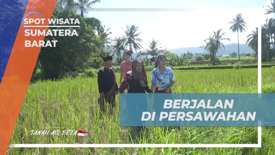 Jalan-Jalan di Persawahan dan Saksikan Ternak Itik di Sumatera Barat