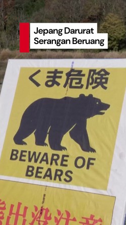 Video: Jepang Darurat Serangan Beruang, 220 Kasus Terjadi Sejak April 2025