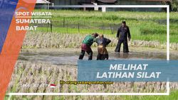 Saksikan Latihan Silat Tradisional di Sumatera Barat