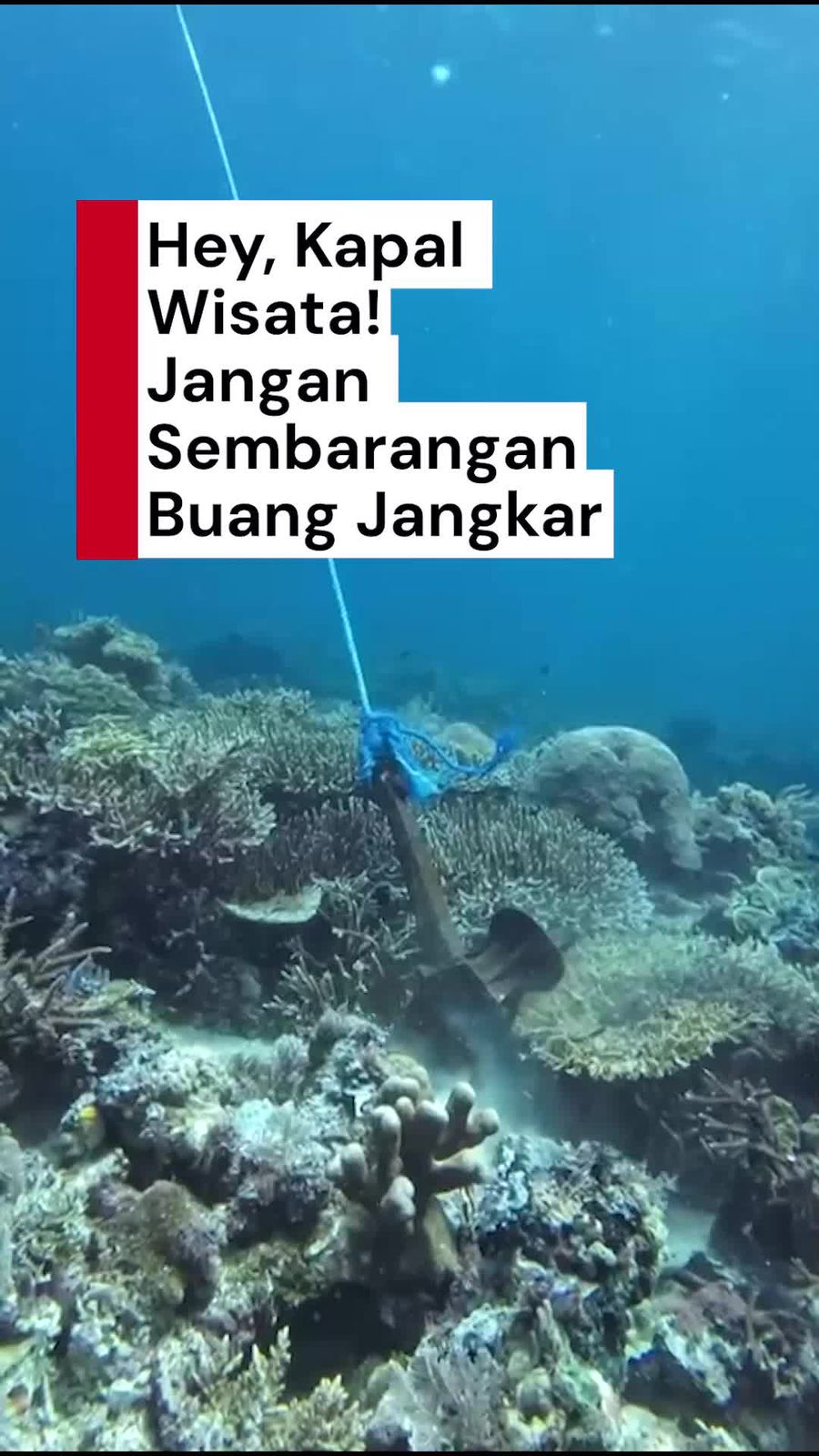 Video: Imbauan Kemenpar untuk Pelaku Wisata Labuan Bajo