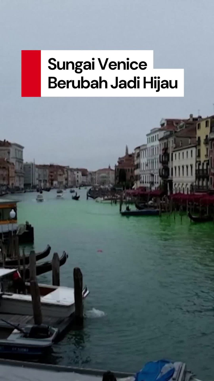 Video: Sungai Venice Berubah Jadi Hijau Imbas Protes Aktivis Iklim