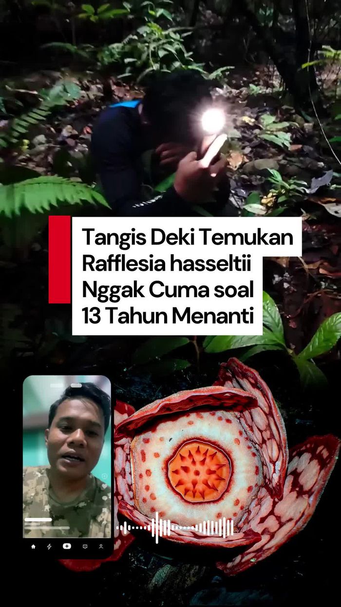 Video: Cerita di Balik Tangis Deki saat Temukan Rafflesia hasseltii