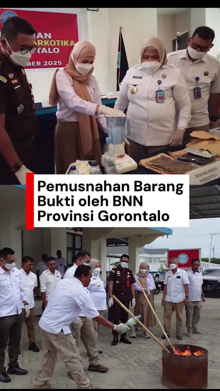 Video: BNNP Gorontalo Musnahkan Sabu dan Ganja dengan Dibakar-Diblender
