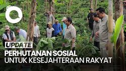 Video: Menhut Raja Juli Dorong Program Perhutanan Sosial untuk Kesejahteraan Rakyat