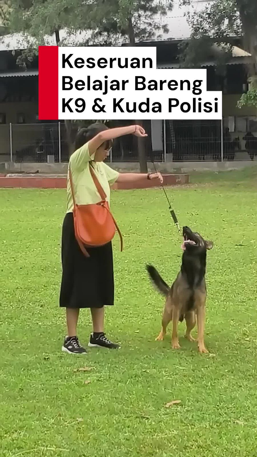 Video: Seru! Anak Jendela Jakarta Diajak Kenalan Sama K9 & Kuda Polisi