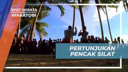 Saksikan Tradisi Pencak Silat dalam Pesta Adat di Wakatobi