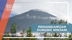 Saksikan Keindahan Gunung Rinjani dari Savana Dandaun, Nusa Tenggara Barat  
