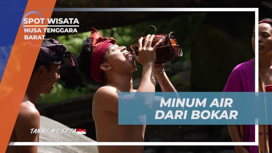 Cicipi Kesegaran Air dari Bokar di Sungai Desa Senaru, Nusa Tenggara Barat  