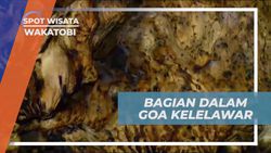 Mengunjungi Bagian Dalam Goa Kelelawar yang Penuh Kelelawar di Wakatobi  