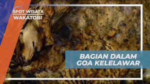 Mengunjungi Bagian Dalam Goa Kelelawar yang Penuh Kelelawar di Wakatobi  