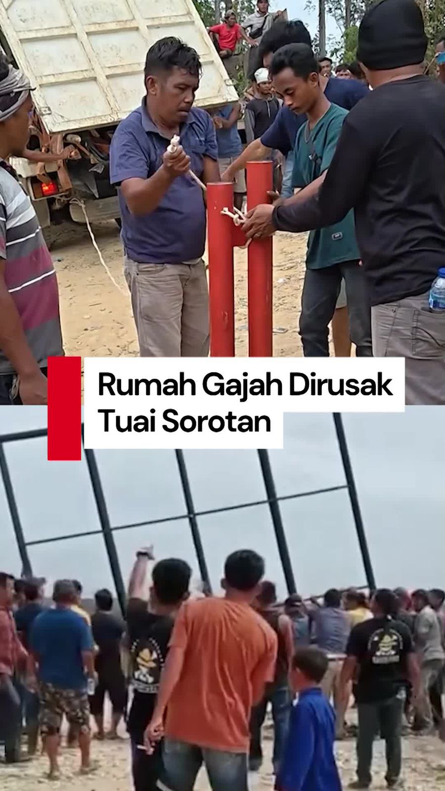 Video: Susi Pudjiastuti-Luna Maya Soroti TN Tesso Nilo Dirusak Oknum