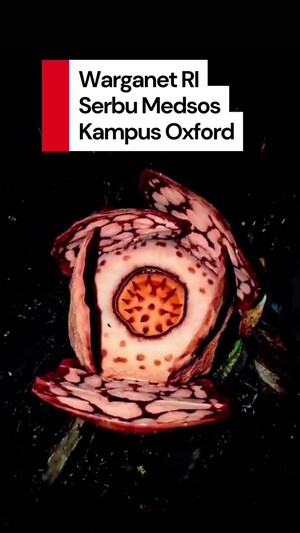 Video: Heboh Kampus Oxford Tak Sebut Peneliti RI di Temuan Rafflesia hasseltii