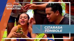 Menikmati Citarasa Tombole yang Dibakar dengan Tradisi Hebatua di Wakatobi  