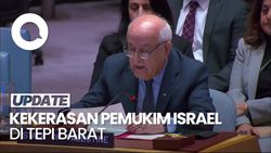 Video China-Prancis-Inggris Teriak ke PBB, Pemukim Israel Serang Warga Palestina