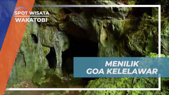 Menelusuri Goa Kelelawar dan Menyelami Keindahan Alam di Wakatobi  