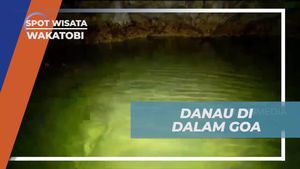 Menjelajahi Danau Misterius di Dalam Goa Kelelawar di Wakatobi  