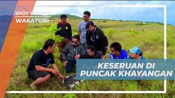 Menikmati Panorama Indah dan Menyaksikan Kehidupan Kima di Puncak Kahyangan, Wakatobi  