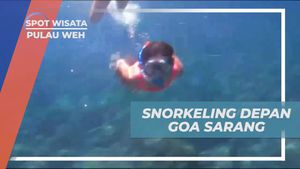 Melakukan Snorkeling di Mulut Goa Sarang dan Menikmati Keindahan Laut di Pulau Weh  