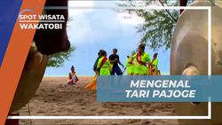 Menyaksikan Pertunjukan Tari Pajoge dan Ikut Menari di Wakatobi  