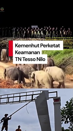 Video: Kemenhut Perketat Keamanan Wilayah TN Tesso Nilo