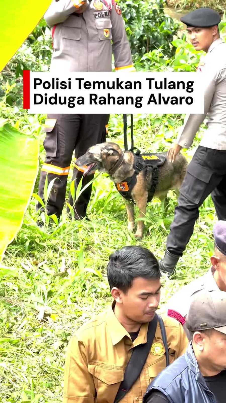 Video Polisi Cari Sisa Kerangka Alvaro, Temukan Tulang Diduga Rahang