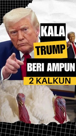 Video: Presiden Trump Mengampuni 2 Kalkun, Kenapa?