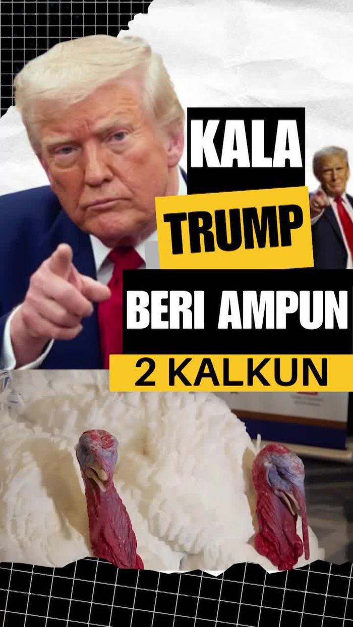 Video: Presiden Trump Mengampuni 2 Kalkun, Kenapa?